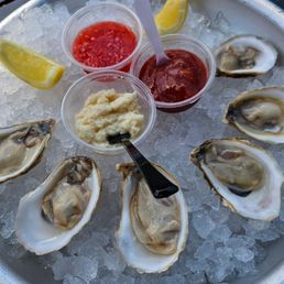 Half dozen oysters