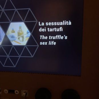 Museo del Tartufo - Yep they went there lol ...truffles got game ! - Museums Near Me - Acqualagna, PU