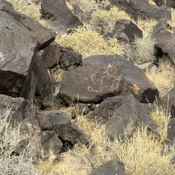 Rinconada Canyon Trail - Bear paw and hunter. - Hiking Near Me - Albuquerque, New Mexico