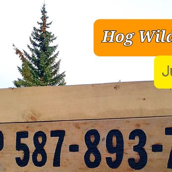 Hog Wild Hauling - Junk Removal & Hauling Near Me