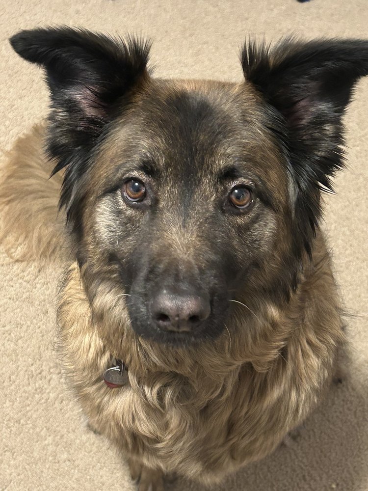 FRONT RANGE VETERINARY CLINIC Updated July 2024 16 Reviews 3200 E