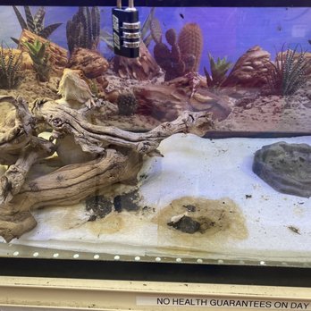 Animal Ark Pet Stores - Pet Stores Near Me - Orem, Utah Animal Ark Pet Stores - Pet Stores Near Me - Orem, Utah