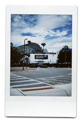 The Florida Aquarium by null