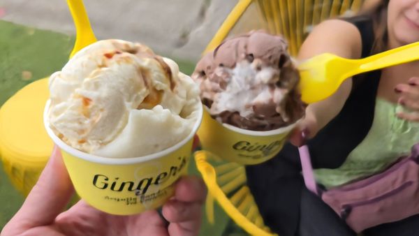 Ginger's Divine Ice Creams by null