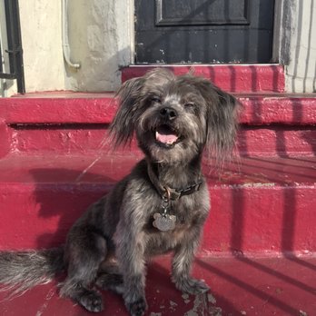 Martinez’s Grooming - Pet Groomers Near Me - Los Angeles, California