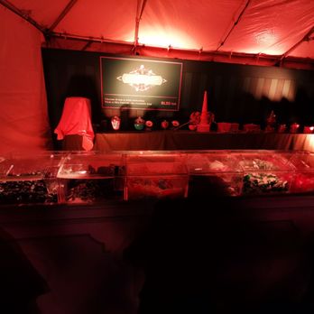 Harry Potter -  A Forbidden Forest Experience - Candies! - Walking Tours Near Me - Yorktown Heights, New York