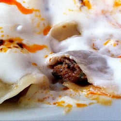 Levante - Lamb Manti