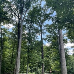 Apple Creek Vineyard & Winery - Picnic area.