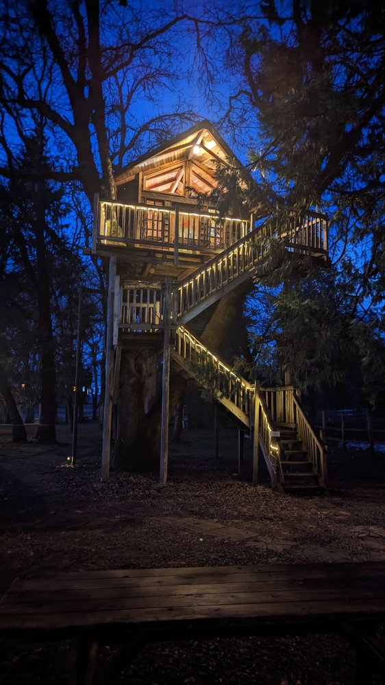 OUT’N’ABOUT TREEHOUSE TREESORT 290 Photos & 78 Reviews 300 Page