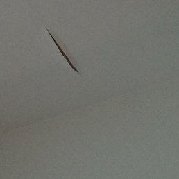 Ceiling fall? Ceiling fall?