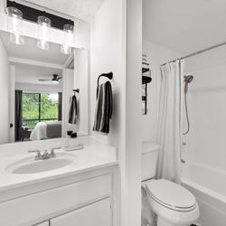 Prime Realty - Cheek black and white bathroom