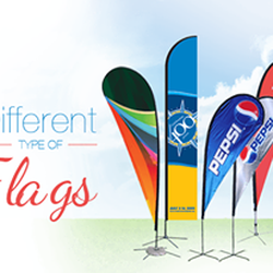 Banner Buzz 15 Photos Printing Photocopying 40 46 Rostrata