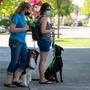 Photo of Guynup’s K9 Services