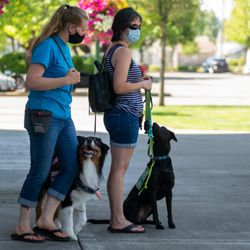 Guynup’s K9 Services