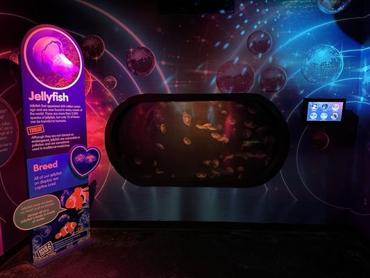 SEA LIFE at Mall of America by null