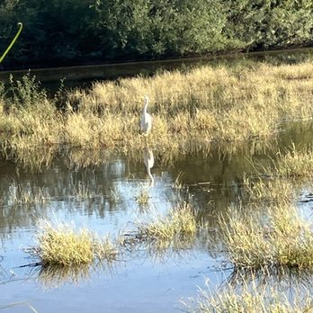 Riparian Preserve at Water Ranch - Parks Near Me - Gilbert, Arizona
