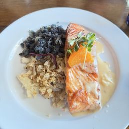 Salmon Salmon