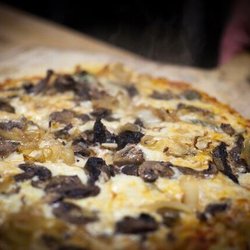 Mio Bistro Mobile - Mushroom Freak
