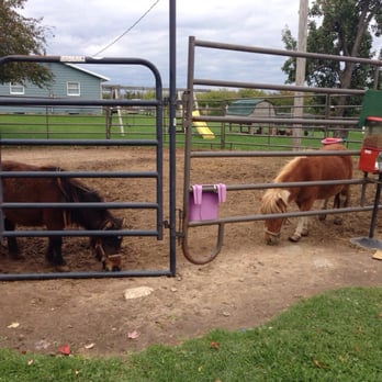 Miller Family Orchard - Horses. - Farmers Market Near Me - Vassar, Michigan