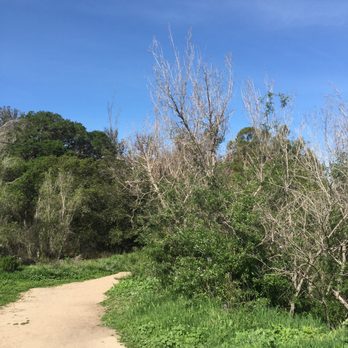 Orcutt Community Park - Path into the little mountain off park path - Dog Parks Near Me - Orcutt, California Orcutt Community Park - Path into the little mountain off park path - Dog Parks Near Me - Orcutt, California