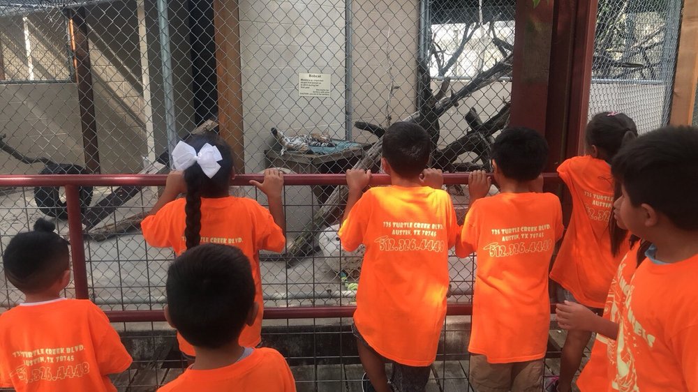 House of Little Angels - childcare center in Austin, TX