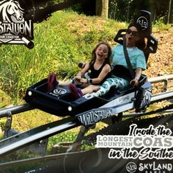 SkyLand Ranch - Mountain Coster