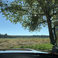 Splash & Dash Car - My view while my husband dried the car