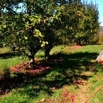 Stribling Orchard - Fruits & Veggies Near Me - Markham, Virginia
