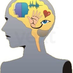 Brainsprouts Memory Training