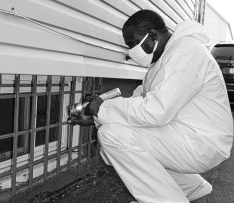 Evict Unwanted Guests - We have over 30 years of experience with pest control services, so it's safe to say we know what we're doing. We can effectively get rid of:
Bed bugs
Roaches
Mice
Rats
If you want to keep your home or commercial building free from unwanted guests, you'll need to schedule regular pest control services. No matter how clean you keep your property, pests are always looking for ways to sneak inside. Thorough Pest Control makes it easy for you to get pest removal services right when you need them. Evict Unwanted Guests - We have over 30 years of experience with pest control services, so it's safe to say we know what we're doing. We can effectively get rid of:
Bed bugs
Roaches
Mice
Rats
If you want to keep your home or commercial building free from unwanted guests, you'll need to schedule regular pest control services. No matter how clean you keep your property, pests are always looking for ways to sneak inside. Thorough Pest Control makes it easy for you to get pest removal services right when you need them.