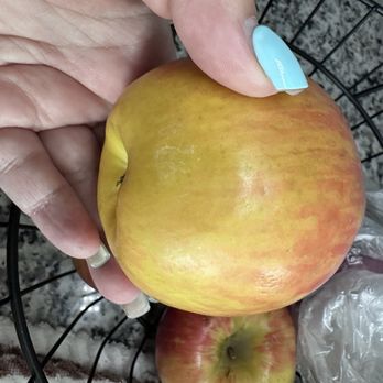 Sprouts Farmers Market - Bruised apples - Organic Stores Near Me - Augusta, Georgia Sprouts Farmers Market - Bruised apples - Organic Stores Near Me - Augusta, Georgia
