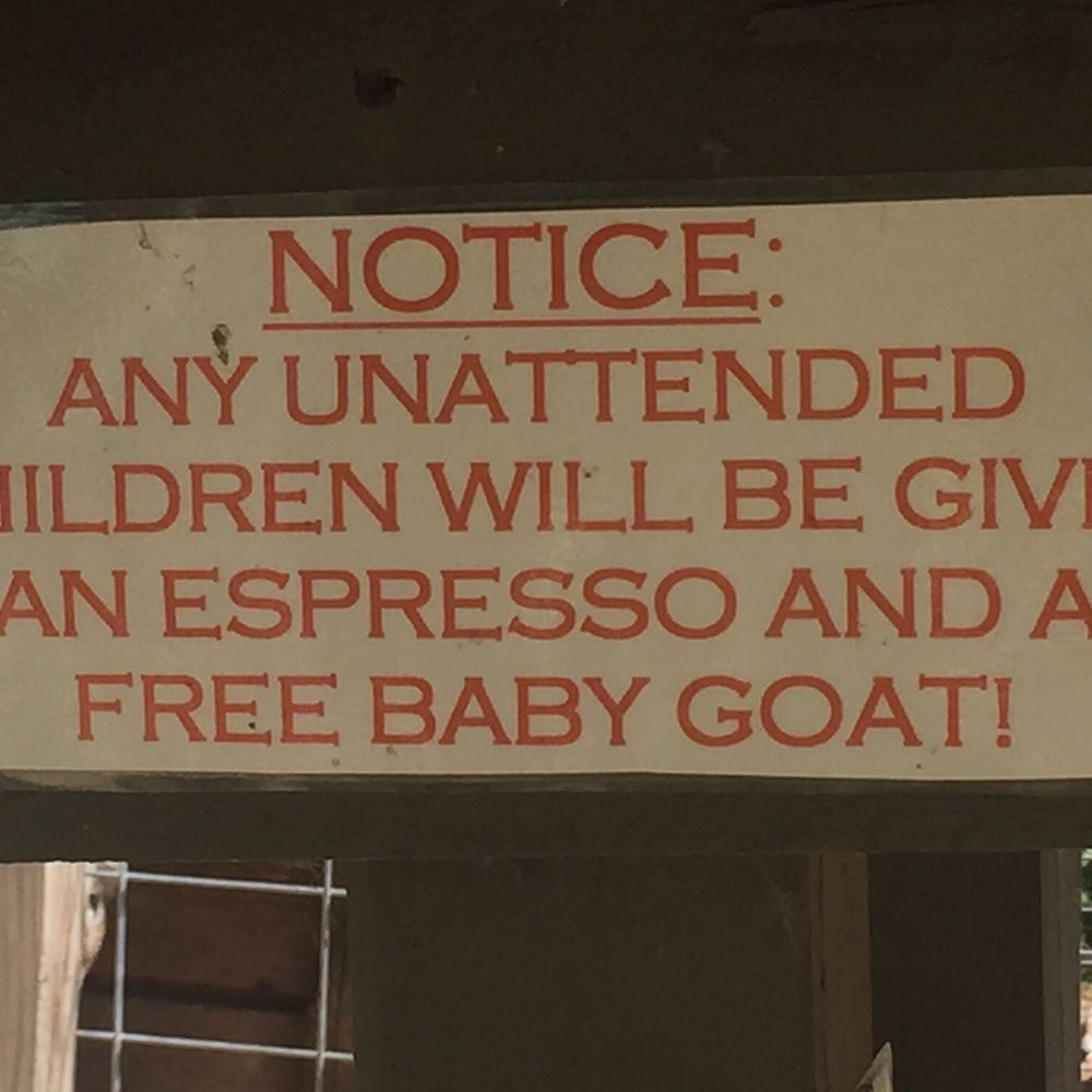 We escaped the farm without a baby goat (this time at least!) We escaped the farm without a baby goat (this time at least!)