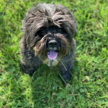 upstate veterinary hospital