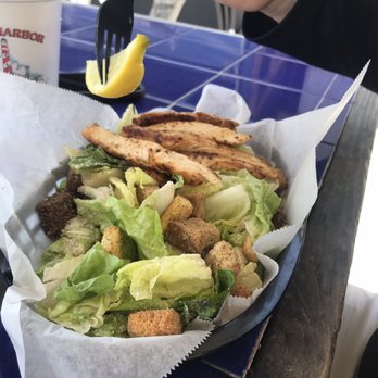 Safe Harbor Seafood - Blackened chicken Caesar salad. Huge piece of chicken. - Seafood Near Me - Jacksonville, Florida