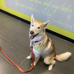 Mende's Groom Room - Post groom glow