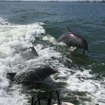 Endless Summer Charters - Boating Near Me - Fort Myers, Florida Endless Summer Charters - Boating Near Me - Fort Myers, Florida