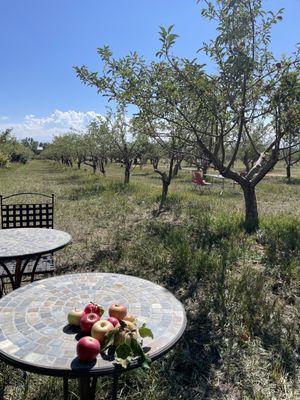 Happy Apple Farm by null