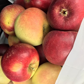Stone Ridge Orchard - Pick Your Own Farms Near Me - Stone Ridge, New York