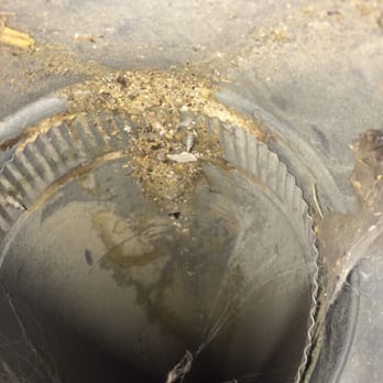 Superior Air Duct Cleaning - Before picture supply vent - Air Duct Cleaning Near Me Superior Air Duct Cleaning - Before picture supply vent - Air Duct Cleaning Near Me