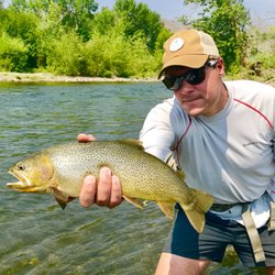 Sun Valley Outfitters - What a cuttie!