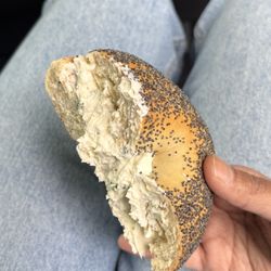 Everything Bagel Cafe