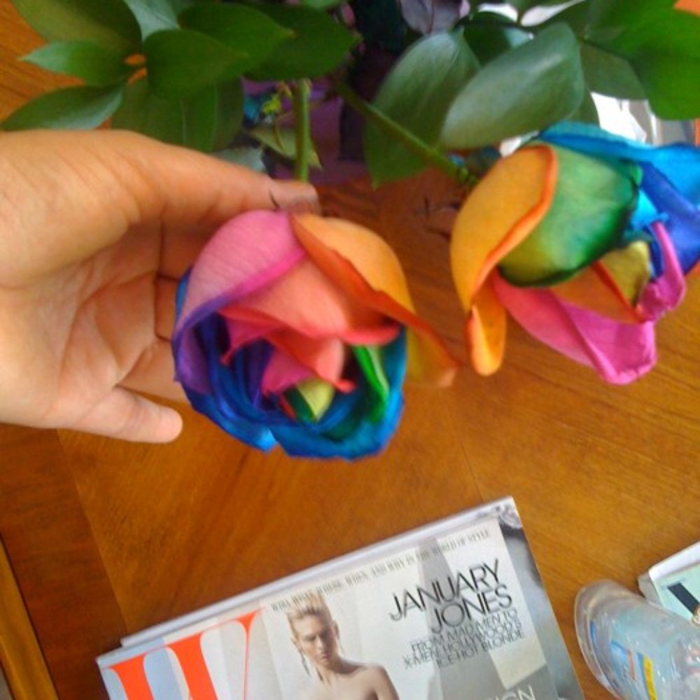 G-nails & Spa - These are tye dye roses in the waiting area. Real roses! - Nail Salons Near Me - Davis, California G-nails & Spa - These are tye dye roses in the waiting area. Real roses! - Nail Salons Near Me - Davis, California