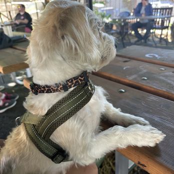 Postdoc Brewing - Where's my beer? - Breweries Near Me - Redmond, Washington