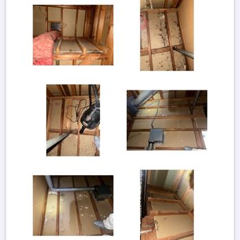 Rat Issues - Pest Control Near Me - Palo Alto, California Rat Issues - Pest Control Near Me - Palo Alto, California