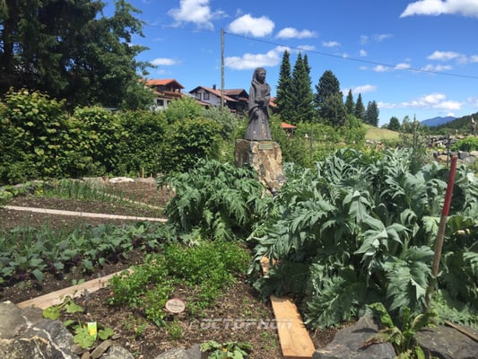 Burghotel Bären by null