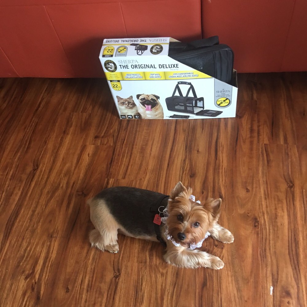 VIP Pet Elite - Beautiful! - Pet Groomers Near Me - Alexandria, Virginia VIP Pet Elite - Beautiful! - Pet Groomers Near Me - Alexandria, Virginia