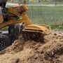 Photo of American Tree Service