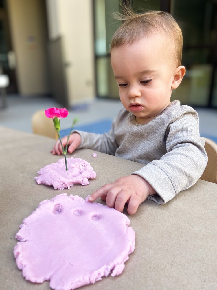 Erika J. Glazer Early Childhood Center - childcare center in Los Angeles, CA