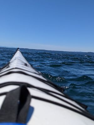 Discovery Sea Kayak Tours by null