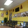 Photo of Maya Travel